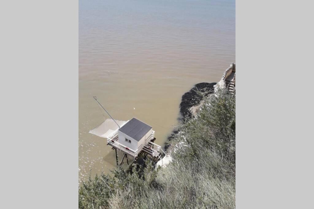 Maison Au Coeur De Meschers - Proche Des Plages Exteriör bild