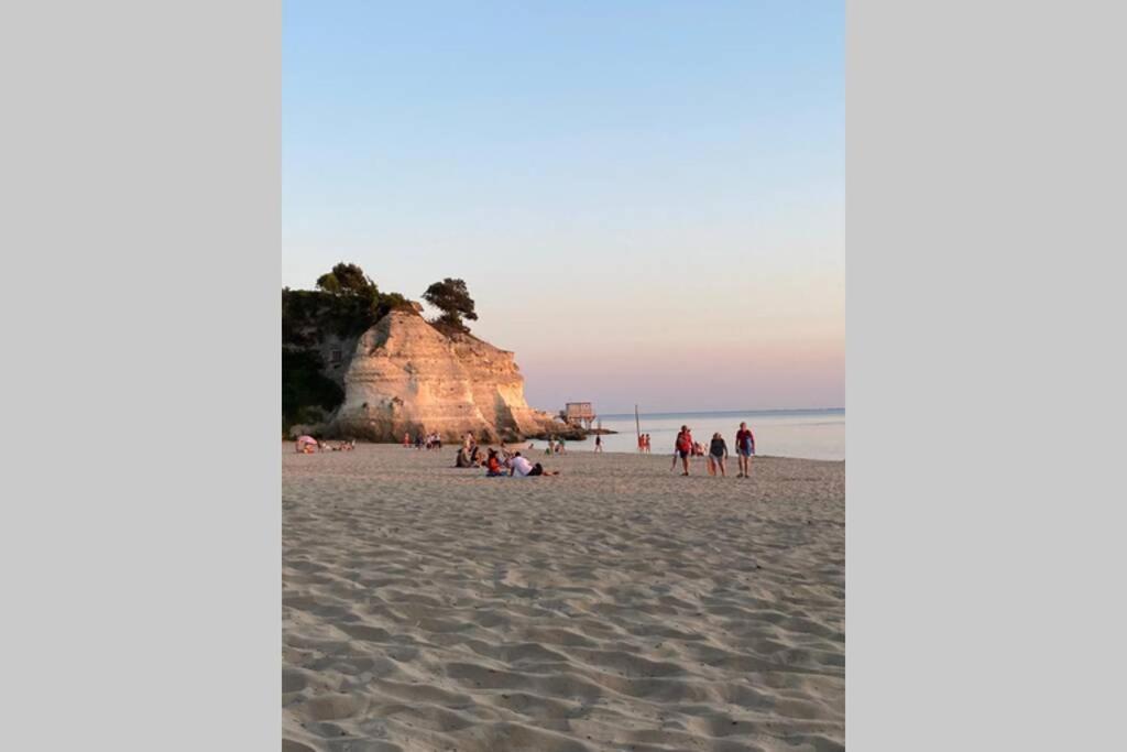 Maison Au Coeur De Meschers - Proche Des Plages Exteriör bild