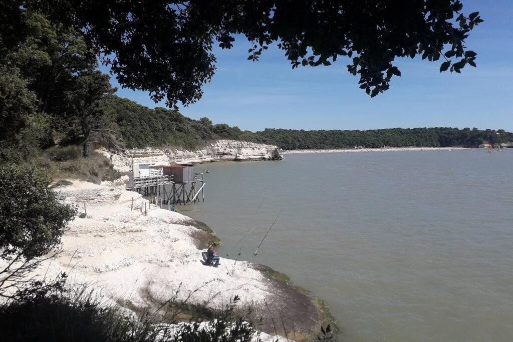 Maison Au Coeur De Meschers - Proche Des Plages Exteriör bild